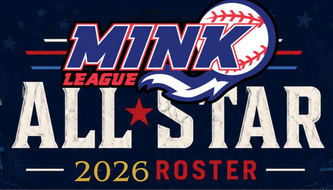 Despite the 2026 all-star game cancellation, these 28 players earned All-Star nods from a league publication.